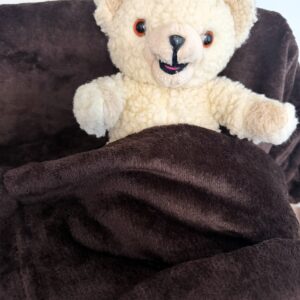 Teddy Fleece Throw Blanket; brown